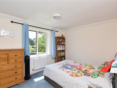 Picture 20